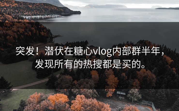 突发！潜伏在糖心vlog内部群半年，发现所有的热搜都是买的。