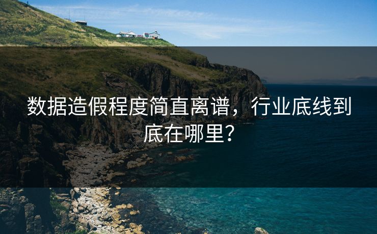 数据造假程度简直离谱，行业底线到底在哪里？